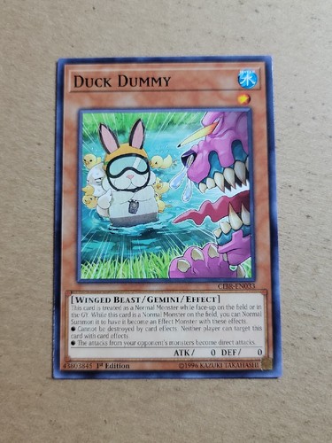 Duck dummy cibr - -, cibr-en033