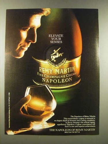 Pubblicità cognac remy - pubblicità,