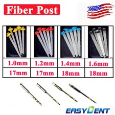 20X Endo Fibra Dentale Post