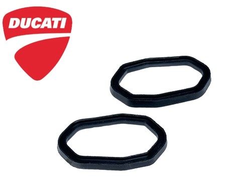Coppia guarnizioni supporto - coppia,