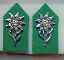 COPPIA DI MOSTRINE DEL C.N.L