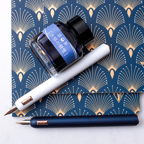 Penna stilografica lamy dialog - stilografica,