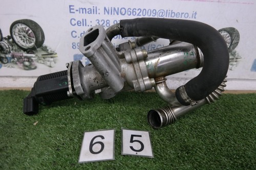 Valvola egr radiatore scarico - egr,