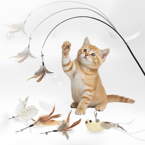 Giochi per gatti - per, gioco