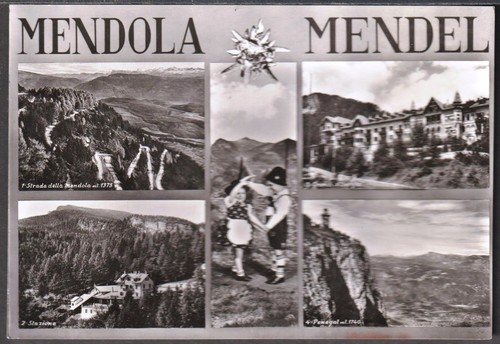 93468 cartolina meldola - cartolina,