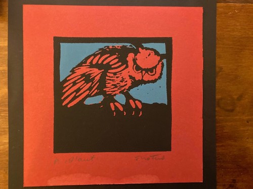 Enotrio gufi prova - prova, d'artista