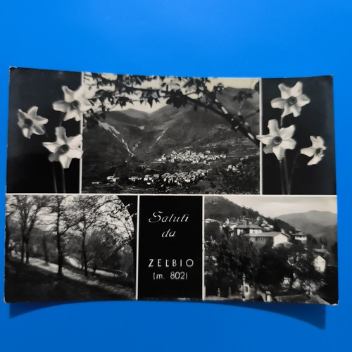 Saluti zelbio 802 - saluti,