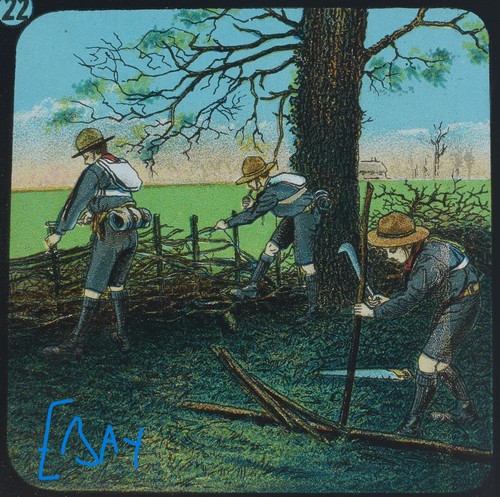 Edwardian boy scouts - edwardian,