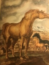 1941 - MARY O'HARA - MY FRIEND