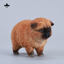 JXK 1/6 Dada La Pomerania