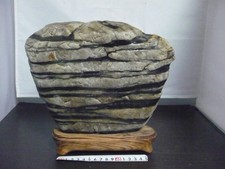 Suiseki Bonseki Bonsai