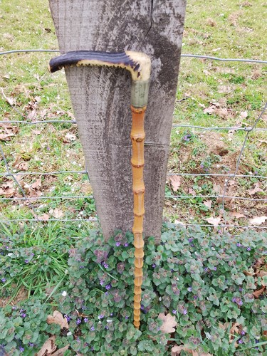 Bastone passeggio - bastone,