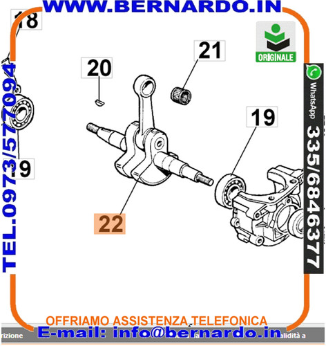 Albero motore motosega oleo - motore,