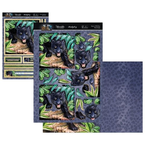 Hunkydory have wild day deco - hunkydory,