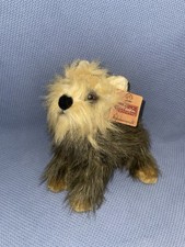 Yorkshire Terrier New Life