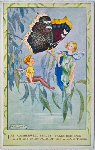 Rene cloke the camberwell - rene,