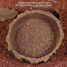 Piccola ciotola per rettili