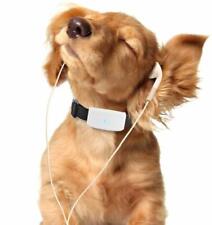 COLLARE GPS per Cane Gatto