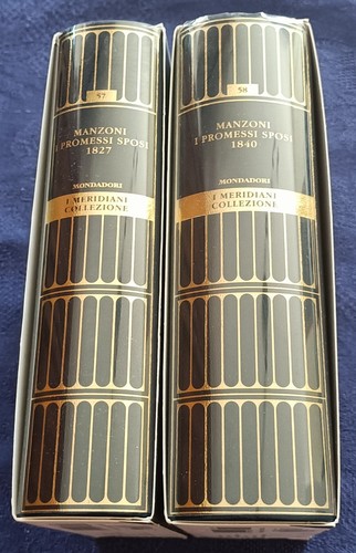 Manzoni promessi sposi 2 - manzoni,