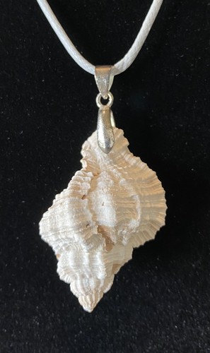 Collana conchiglia