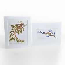 Samara King Leafy Sea Dragon