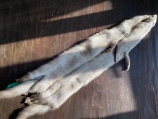 Collo Stola Scialle Vera