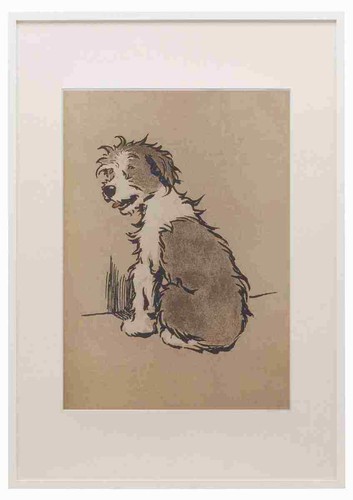 Aldin cecil bobtail libro - aldin,