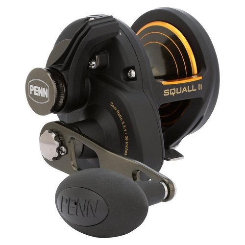 Mulinello pesca penn squall - pesca,