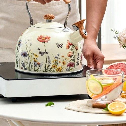 Bollitore con fischietto - bollitore,