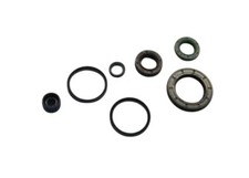 494630 KIT PARAOLIO MOTORE