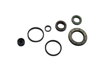 494630 kit paraolio - kit, motore