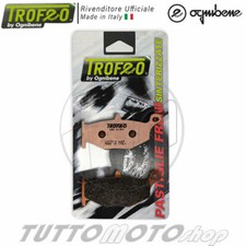 PASTIGLIE FRENO POSTERIORE