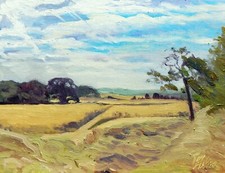 campi di grano rotolanti