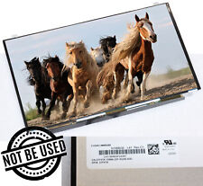 15,6" 39,6cm NUOVO DISPLAY