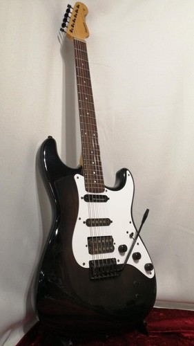 Fernandes function sustainer - fernandes,