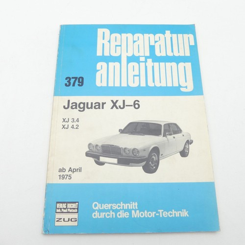 Jaguar bucheli 379 - 6,