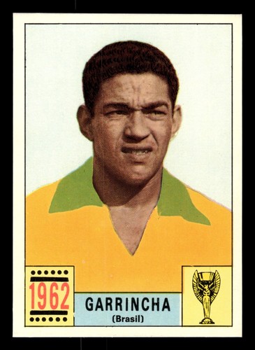 Panini mexico green back - green,