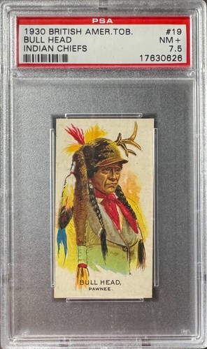 Bull head 1930 - 1930, pipistrello