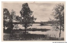 CAR-AEMP8-0443-PELLE - VITTSJO