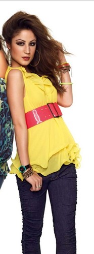 Denny rose top georgette - rose,