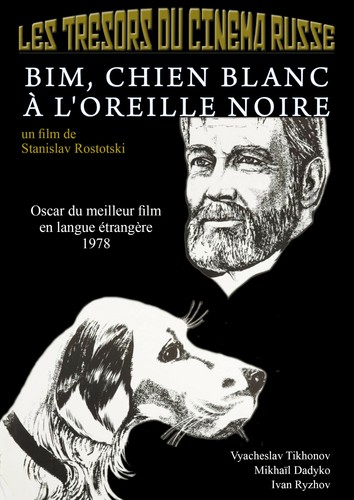 Dvd bim chien blanc - dvd, bim,