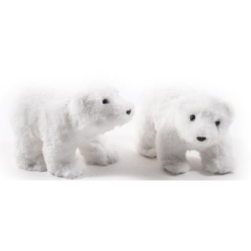 Cucciolo orso polare - cucciolo,