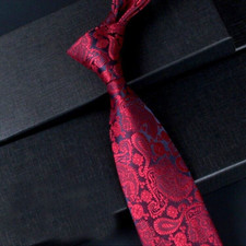Cravatta uomo classica Paisley