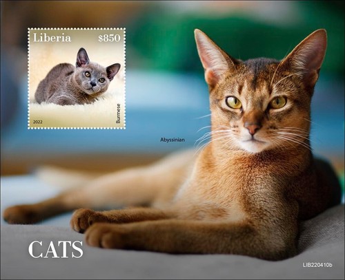 Francobolli gatti birmani - francobolli,