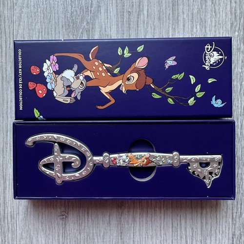 Disney store chiave - disney, store,