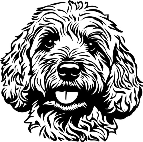 Adesivi cavapoo auto - cavapoo,