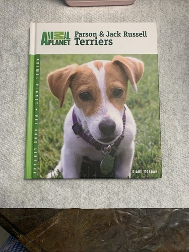 Animal planet parson jack - animal,