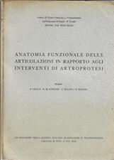 Anatomia funzionale delle