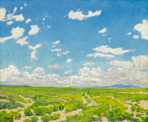 Deserto americano walter - americano:,