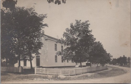 Cartolina rppc cespuglio - rppc, di